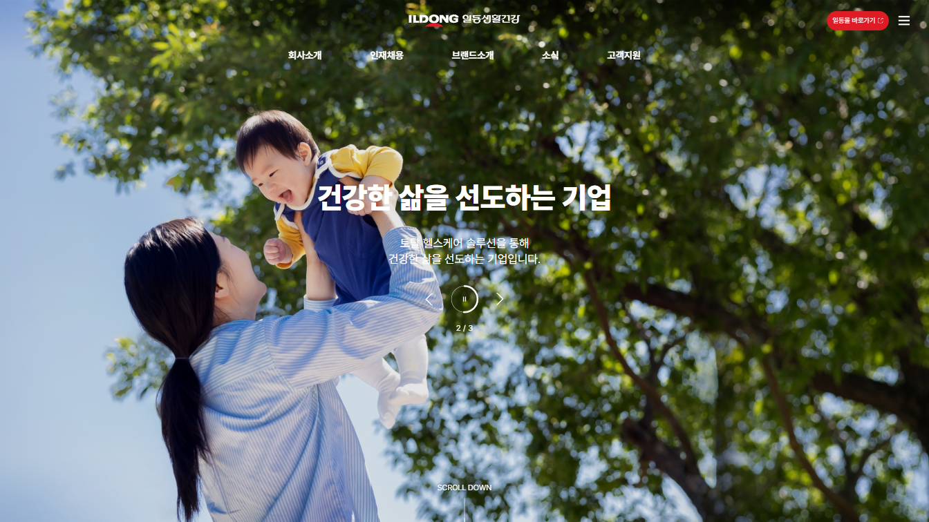 일동생활건강 웹사이트 분석 제품이다가 경험이 되다
